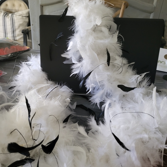 Cruella Deville Costume set Wig + Accessories - Picture 7 of 8